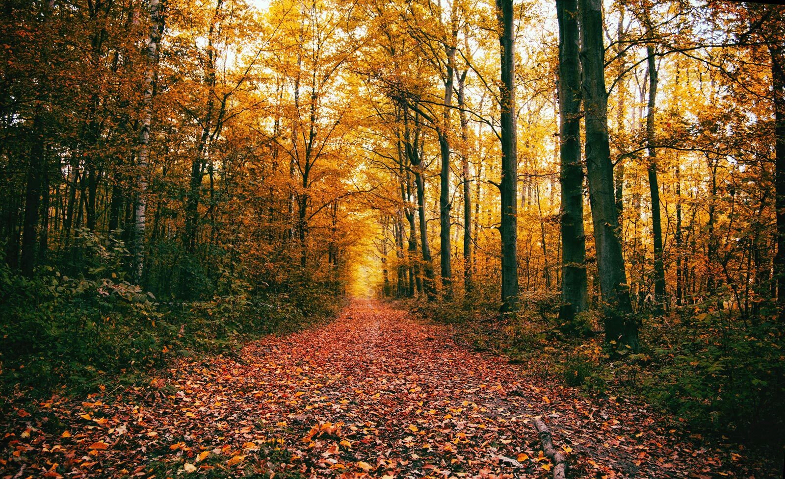 Autumn in Cornwall